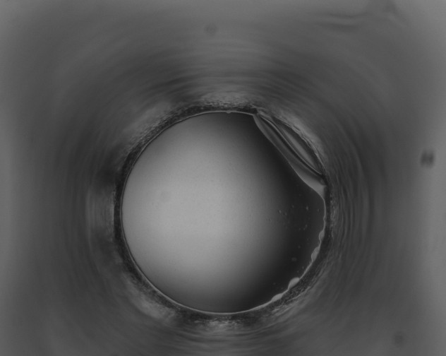 X0000093500493200710191252
