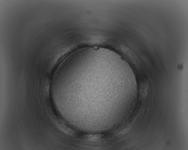 X0000093500495200710191252