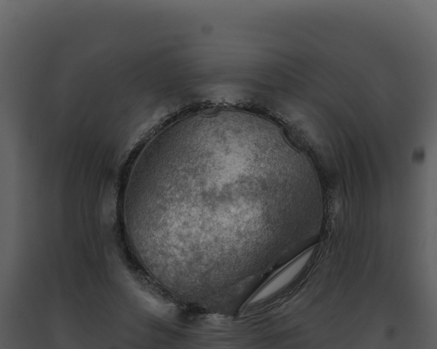 X0000093500496200710191252
