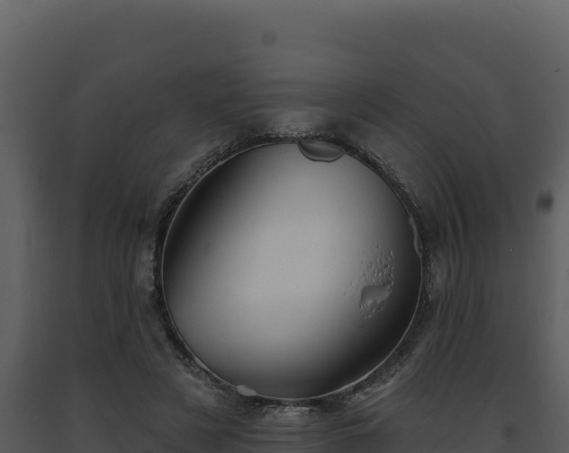 X0000093500497200710191252