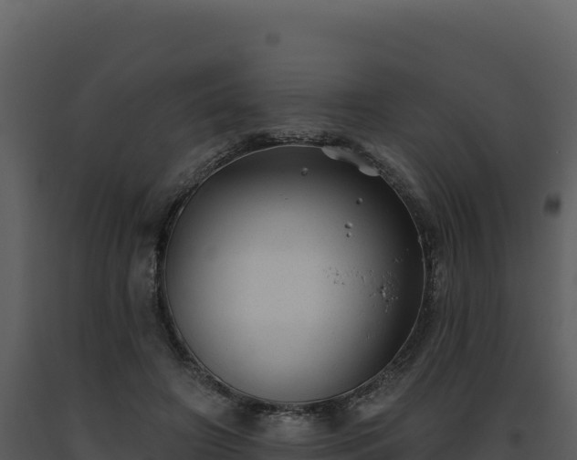 X0000093500498200710191252
