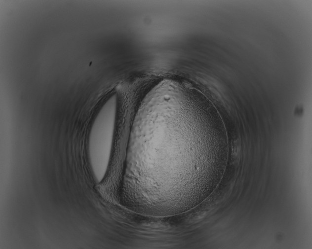 X0000093500503200710191252