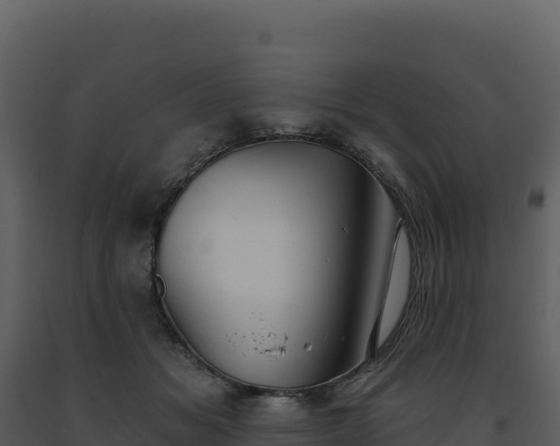 X0000093500509200710191252