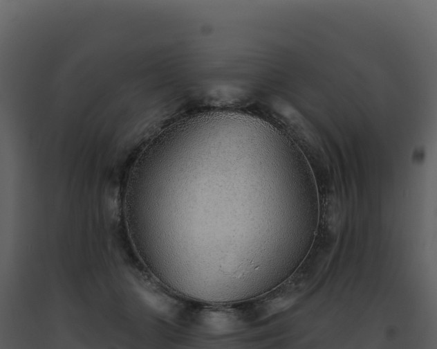 X0000093500510200710191252
