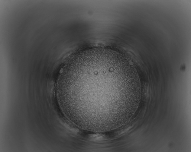 X0000093500511200710191252