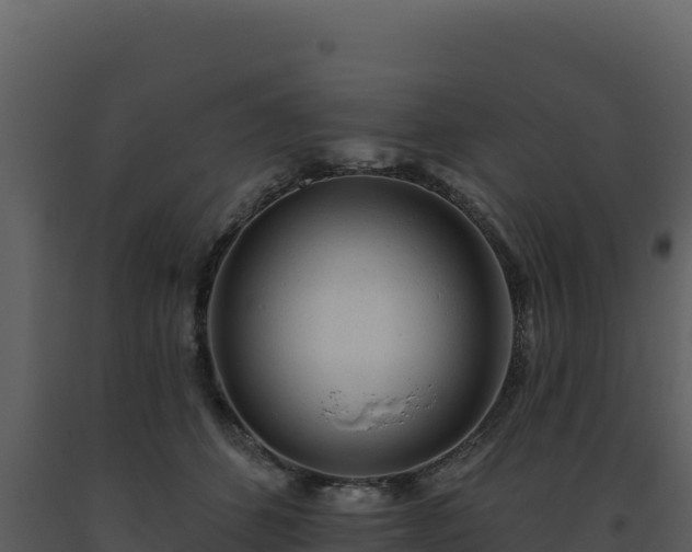 X0000093500512200710191252