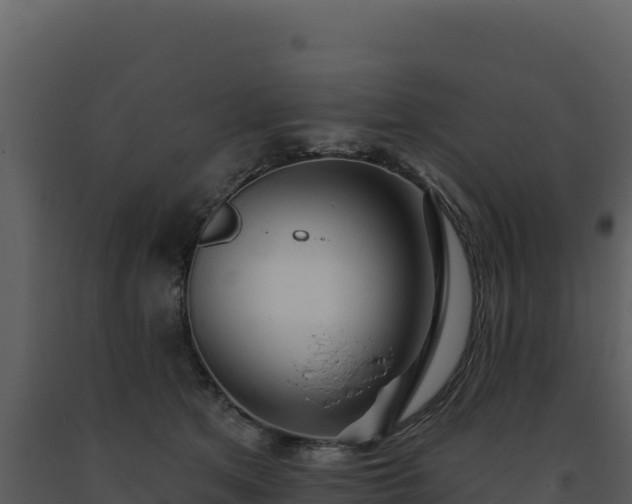 X0000093500513200710191252