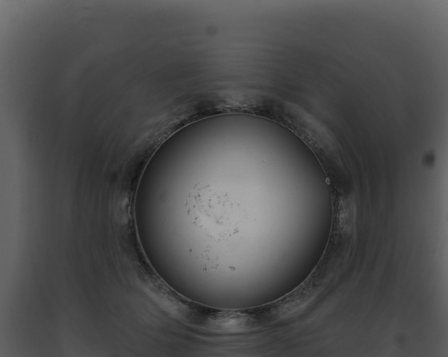 X0000093500514200710191252