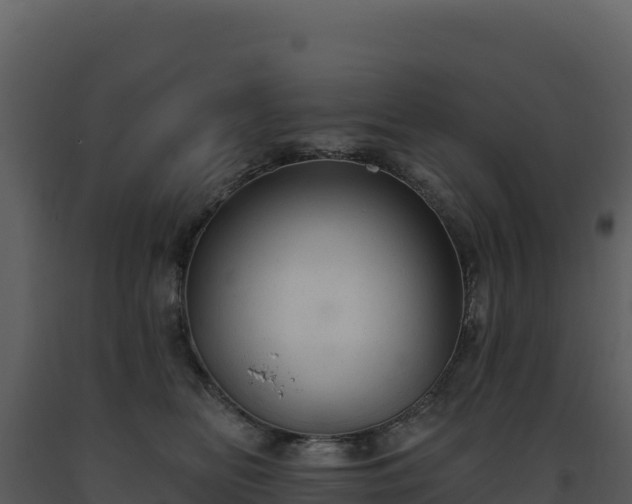 X0000093500518200710191252