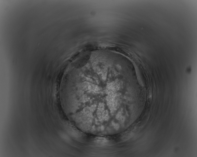 X0000093500519200710191252