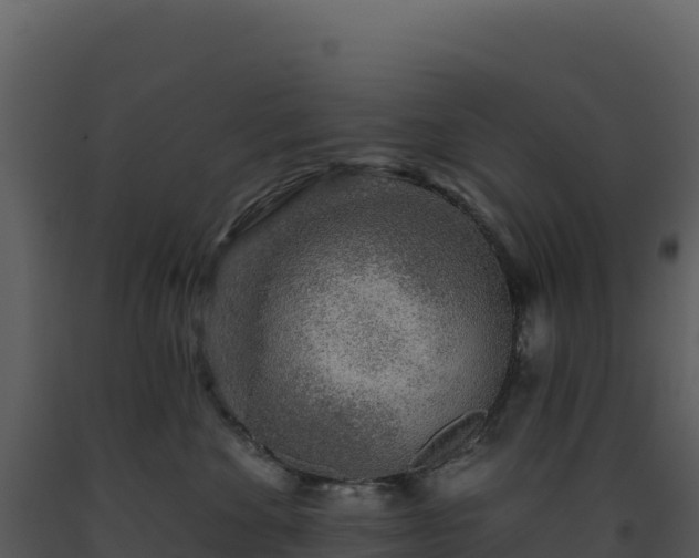 X0000093500524200710191252