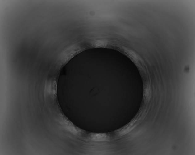 X0000093500525200710191252