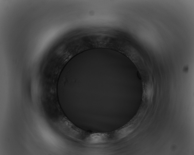 X0000093500526200710191251