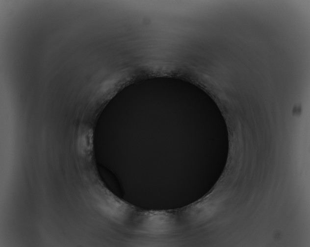 X0000093500528200710191251