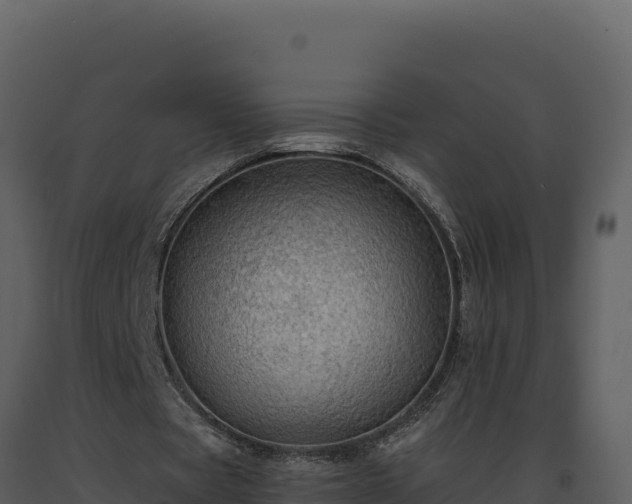 X0000093500529200710191251