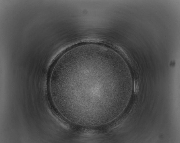 X0000093500531200710191251