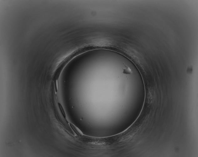 X0000093500535200710191251