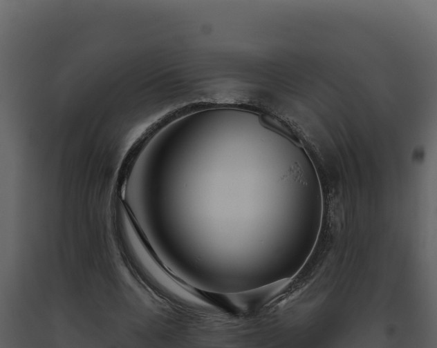 X0000093500536200710191251