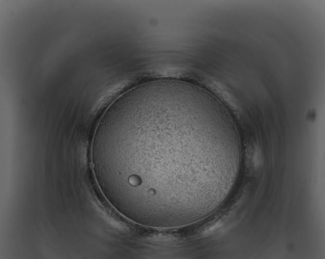 X0000093500537200710191251
