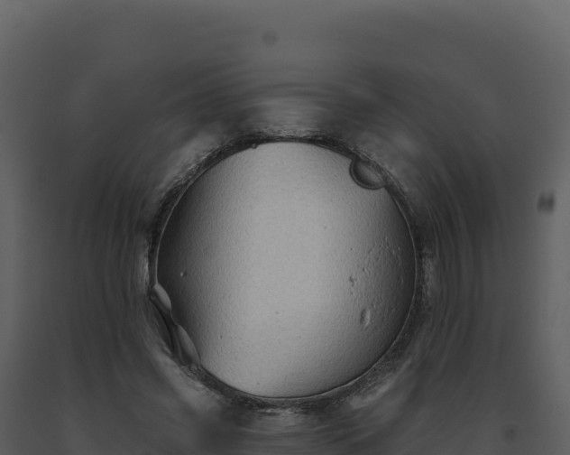 X0000093500541200710191251
