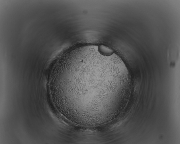 X0000093500542200710191251