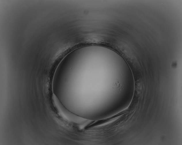 X0000093500544200710191251