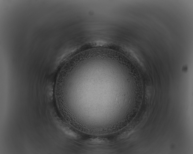 X0000093500545200710191251