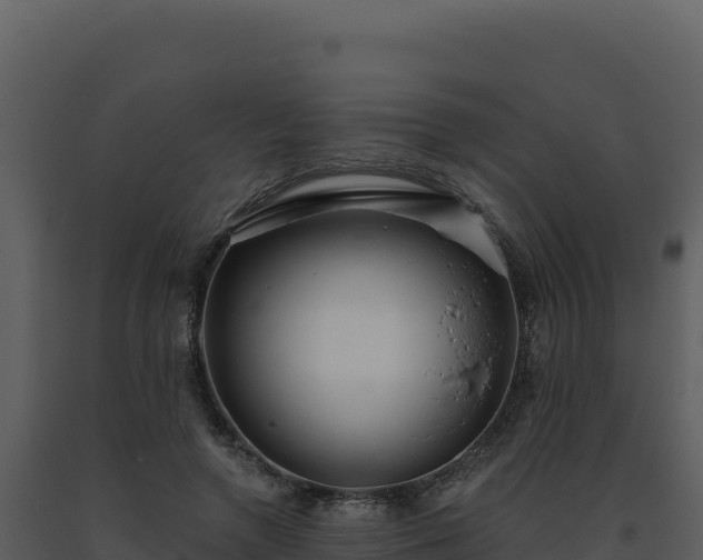 X0000093500546200710191251
