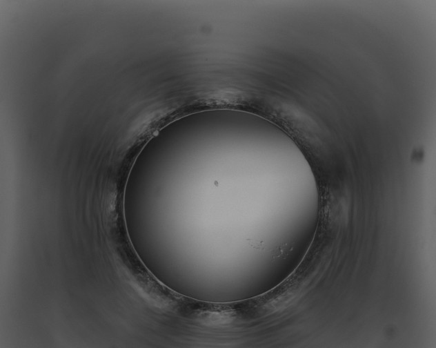 X0000093500548200710191251