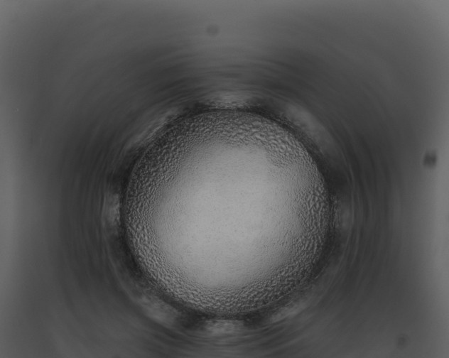 X0000093500549200710191251