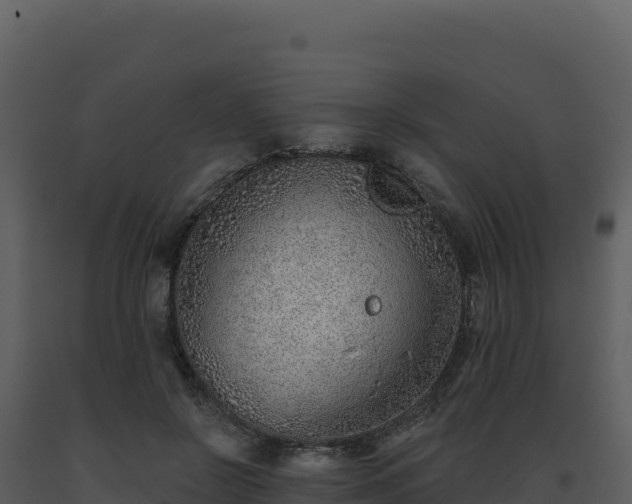 X0000093500550200710191251