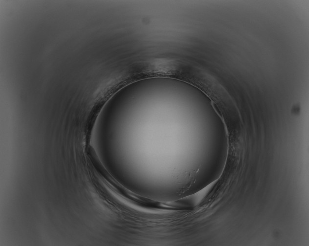 X0000093500552200710191251