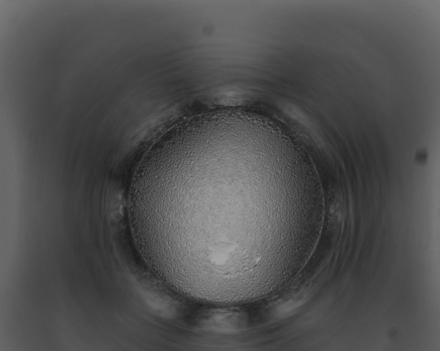 X0000093500555200710191251