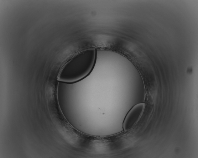 X0000093500556200710191251