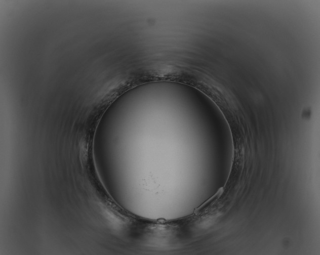 X0000093500558200710191251