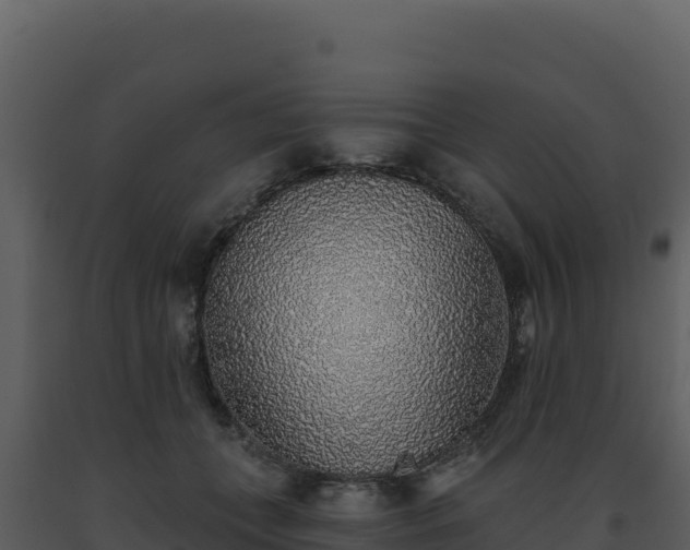 X0000093500559200710191251