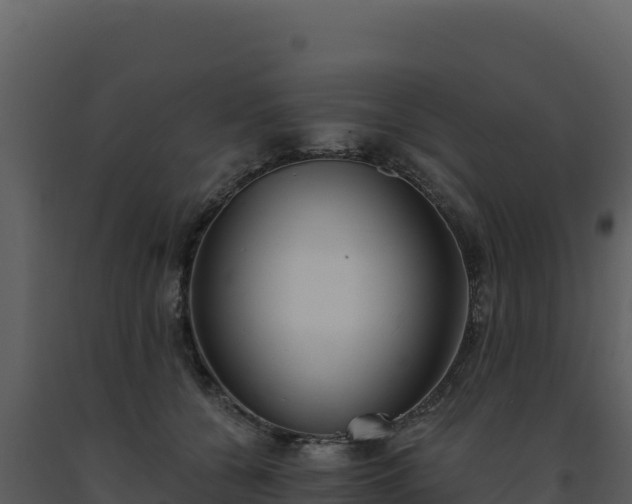 X0000093500560200710191251