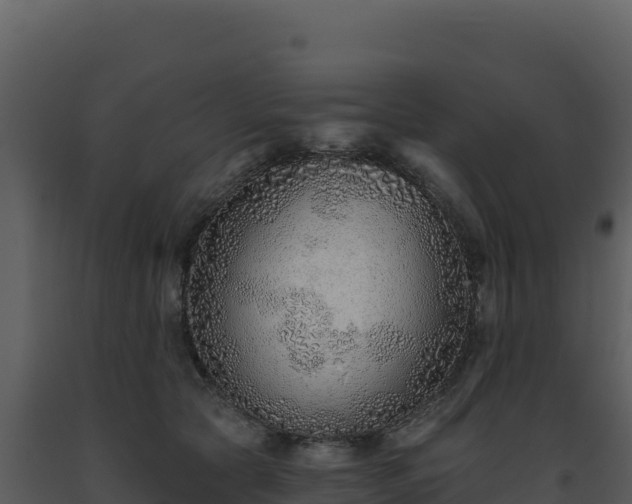 X0000093500561200710191251