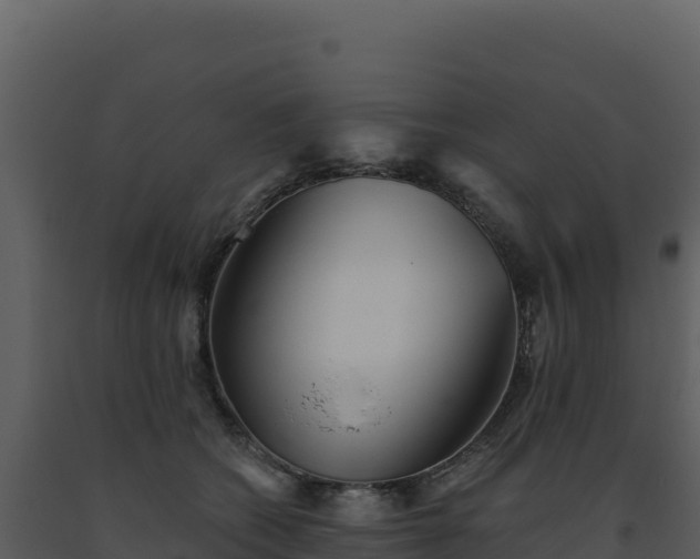 X0000093500562200710191251