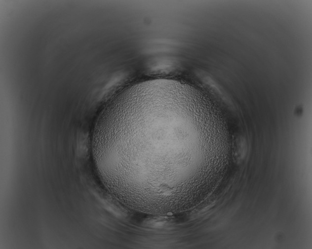 X0000093500563200710191251