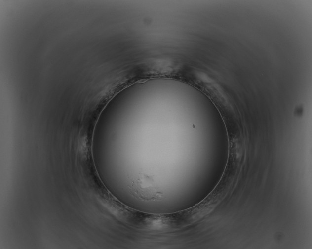 X0000093500564200710191251