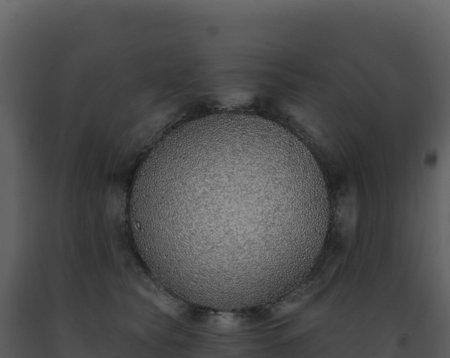 X0000093500565200710191251
