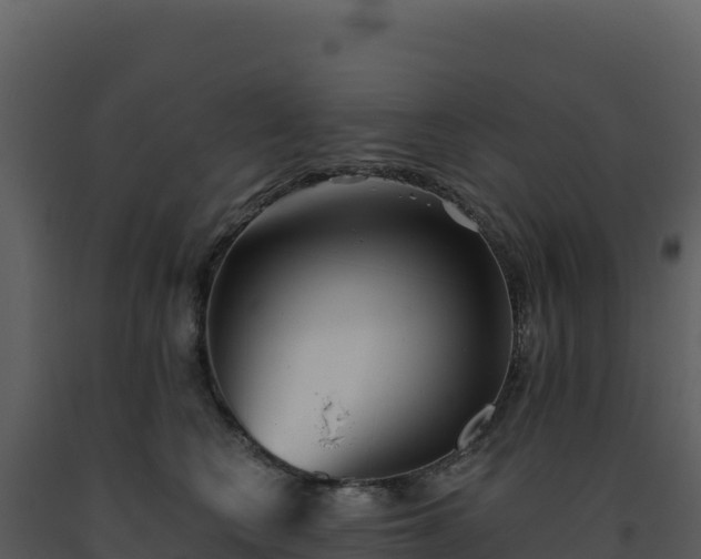 X0000093500566200710191251