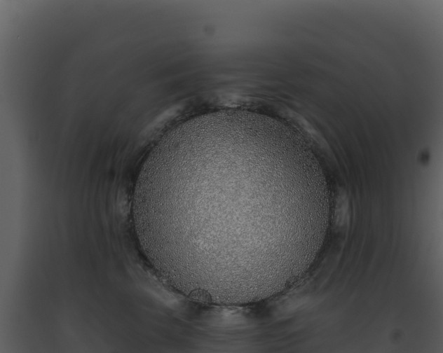 X0000093500569200710191251