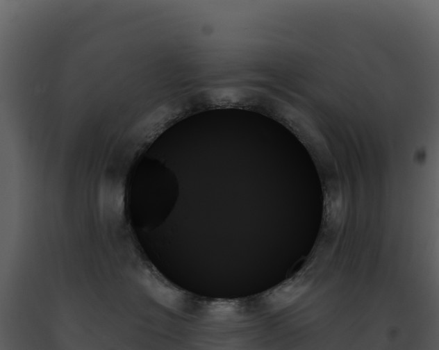 X0000093500574200710191251