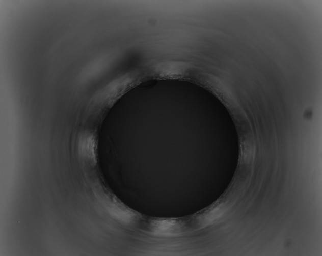 X0000093500575200710191251