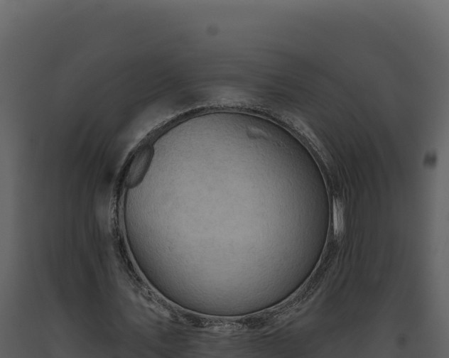 X0000093500579200710191251