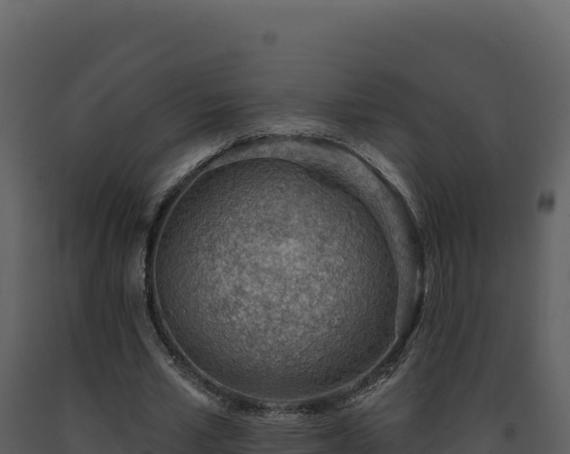X0000093500581200710191251