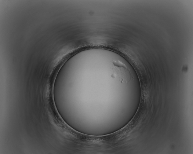 X0000093500583200710191251