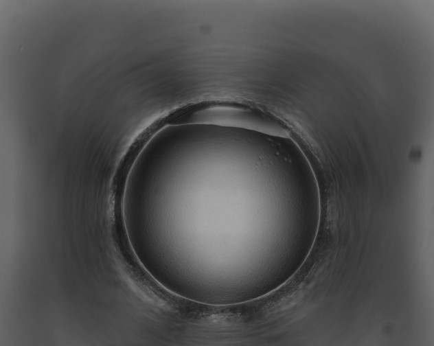 X0000093500584200710191251